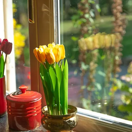 Le Clos Napoleon Bed Et Breakfast 住宿加早餐酒店 3*